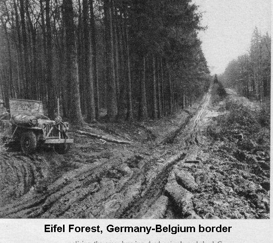 Eifel forest, Germany-Belgium border