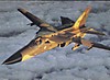 F-11_Aardvark_not_on_fire.JPG