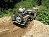 IMG_2767s.JPG