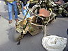 12032011553.jpg
