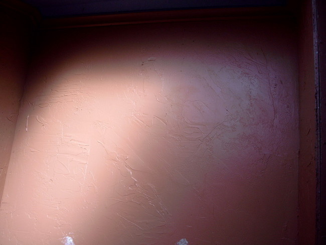 bathroom mural start