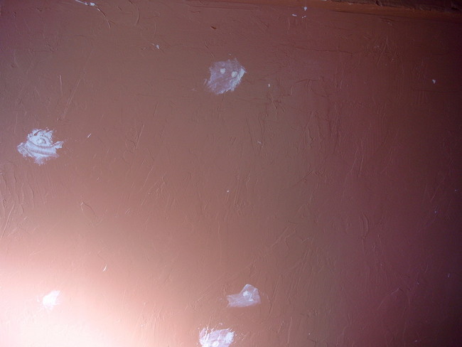 bathroom mural start