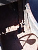 P1010033.jpg