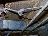M1001091.jpg