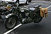 Petaluma_Vet_Parade_011_Small_.jpg