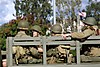 Petaluma_Vet_Parade_026_Small_.jpg