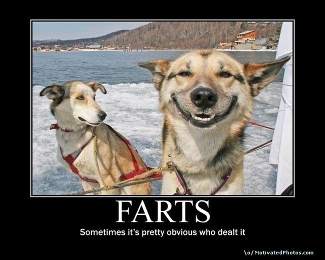 farts