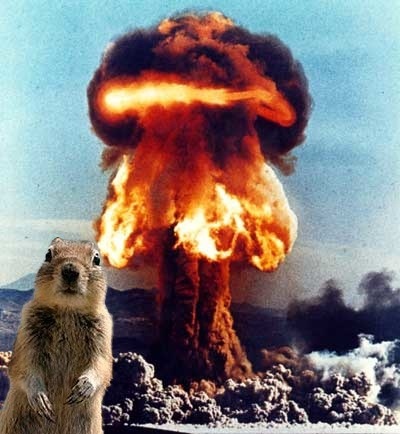 nukesquirrel