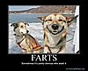 farts.jpg