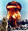 nukesquirrel.jpg