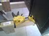 rear_panel_clamp_pulling_fixture_tight_in_front.jpg