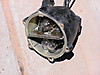 P1010001.JPG