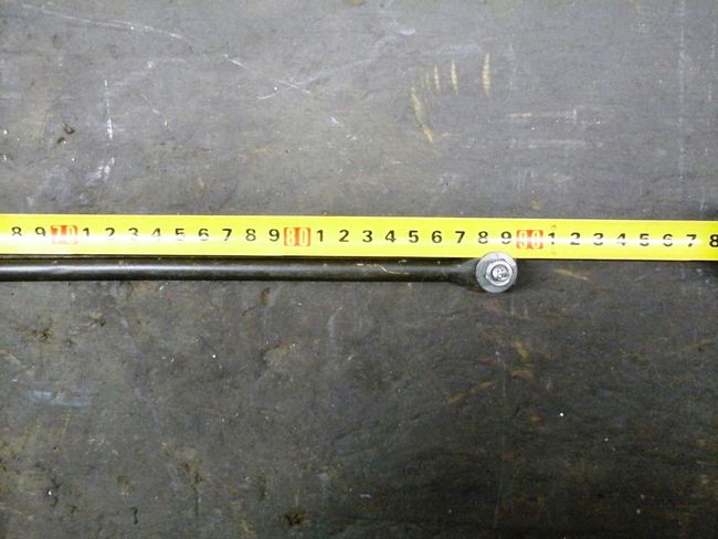 Skeleton