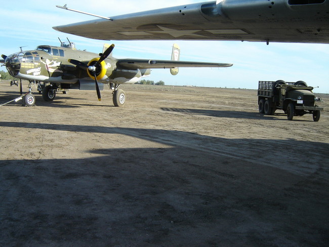 eagle_field_020