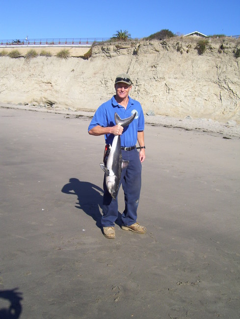 Chris and the shark