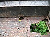 sIMG_1416.JPG