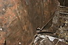 CAISSE_AVANT_PEINTURE0064.JPG