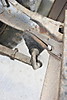CHASSIS_AVANT0032.JPG