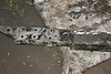 CHASSIS_PENDANT0020.JPG