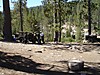 DSC05157.JPG