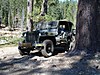 DSC05158.JPG