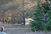 IMG_4180_Small_.JPG