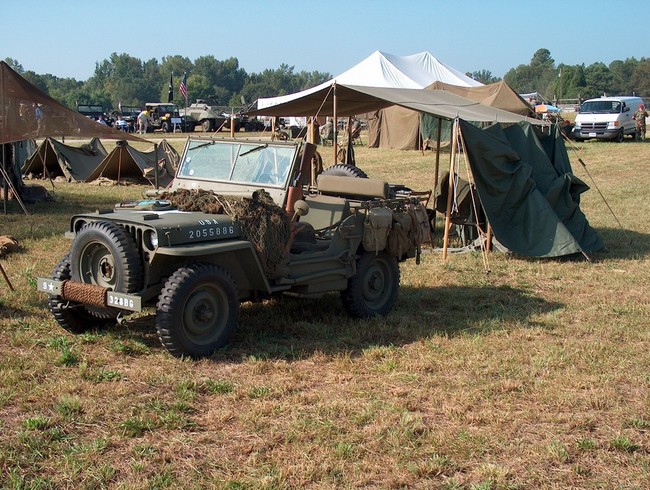 Brown_2005_013