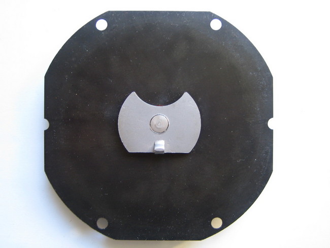 Sparton Horn after restauration plate back