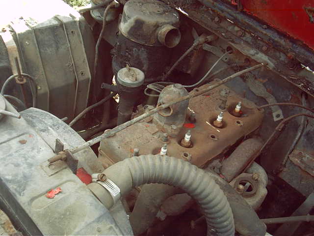 IMGP0011