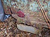 101_1572.jpg