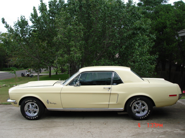 mustang