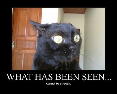 whathasbeenseen
