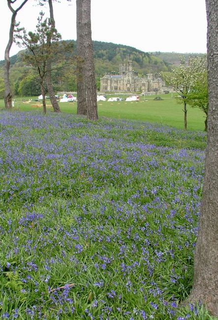 Margam061