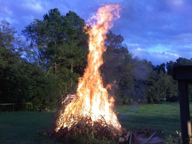 bonfire