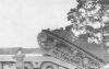 3_transport19454.jpg