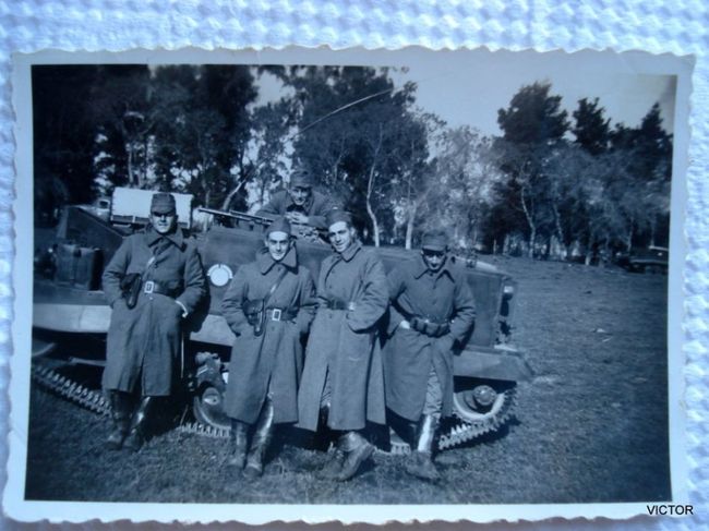 s_MLA_v_F_f_143901475_7535