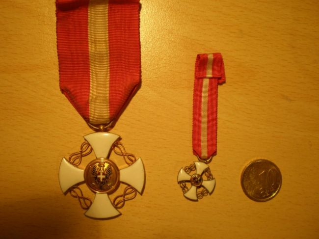 MEDA