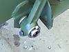 Imagen_072.jpg
