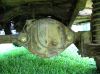 Rear_Axle2.jpg