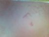 Mudguard_F_marks_GPW_11730_2.jpg