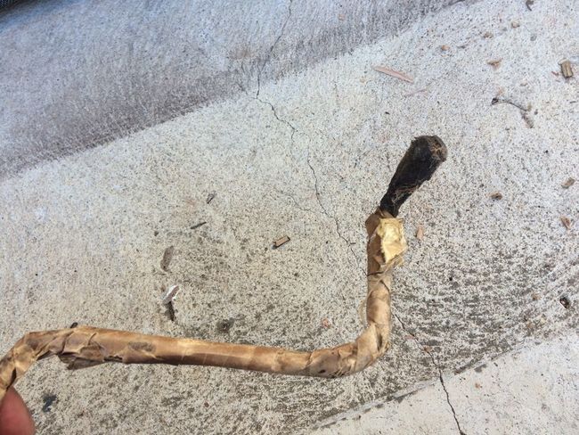 NOS fuel line. WOA1368 GPW 9289
