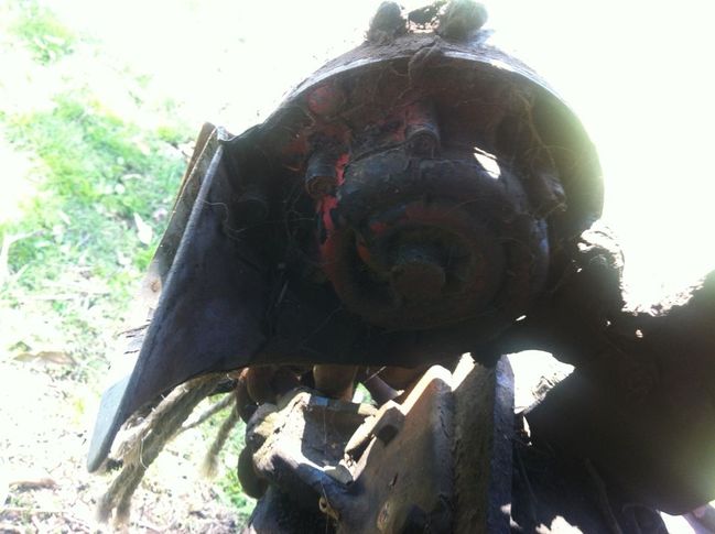 Horn ID