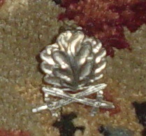 oak_leaves_front