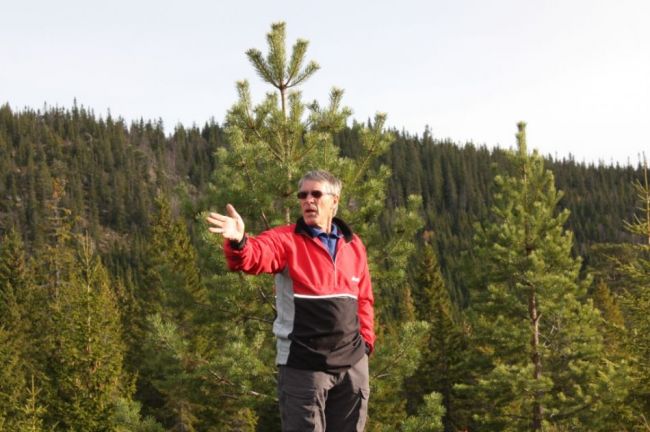 Svein