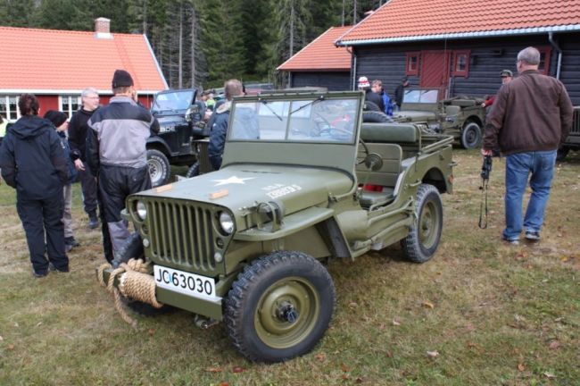 Torsetra_08
