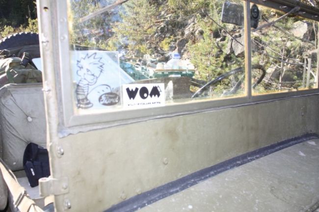 WOM1