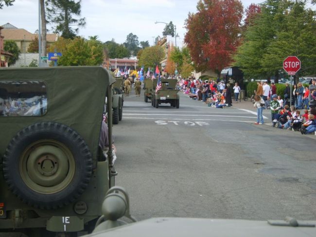 20081111_78