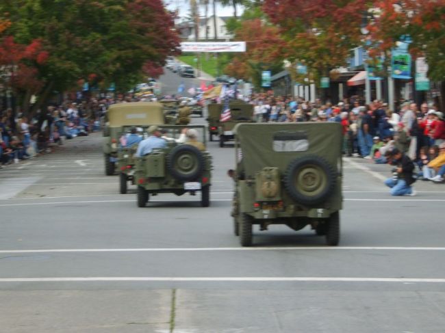20081111_82
