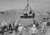Jeeps_being_lowered_over_side_of_USS_Albany.jpg
