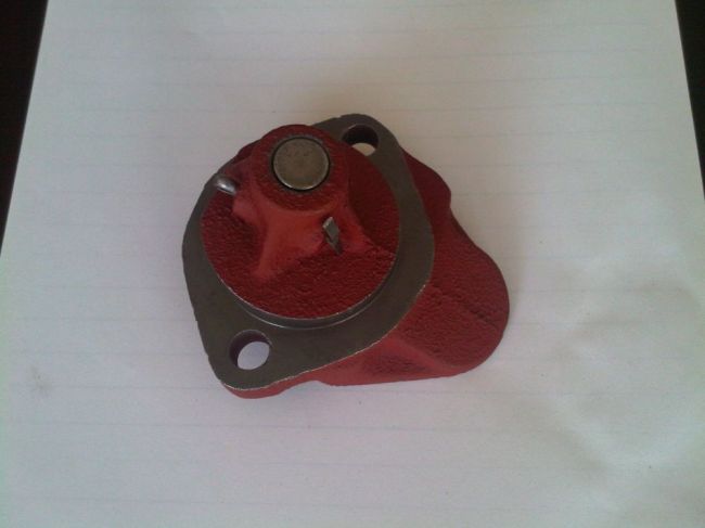 IMG00526-20100709-1155